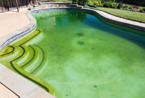 Zelená voda v bazénu