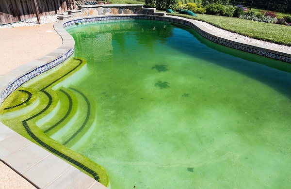 zelená voda v bazénu